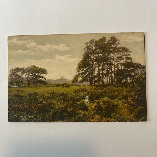 Reigate heath 1900 - heath, 1900’s