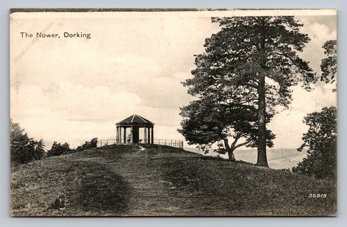 Postcard the nower - -,
