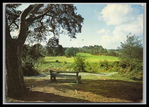 Postcard reigate heath - heath, /