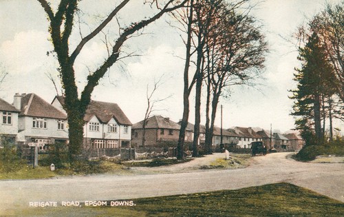 Epsom downs surrey reigate - epsom,