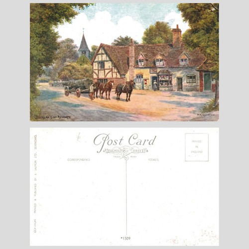 Vintage postcard buckland - vintage,