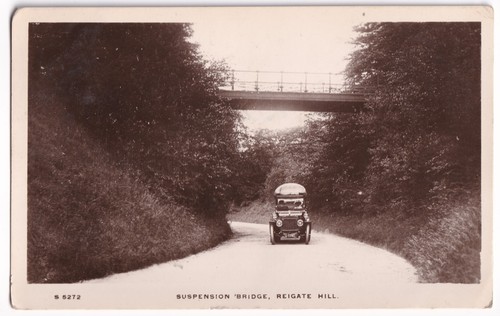 Suspension bridge reigate hill - reigate,