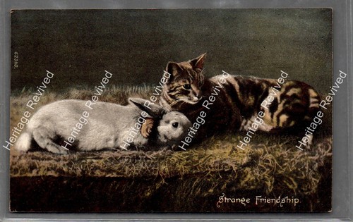 Vintage reigate cat rabbit - reigate,