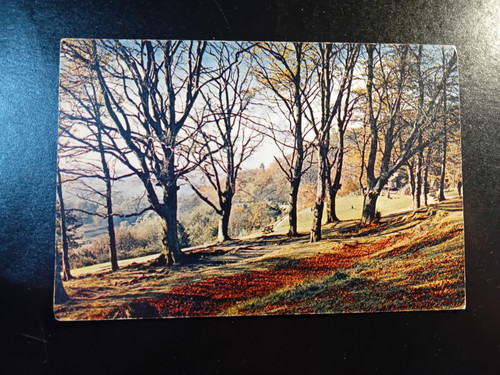 Vintage postcard reigate - vintage, uk
