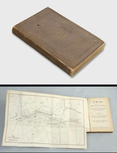 Reigate botany 1856 flora - botany,