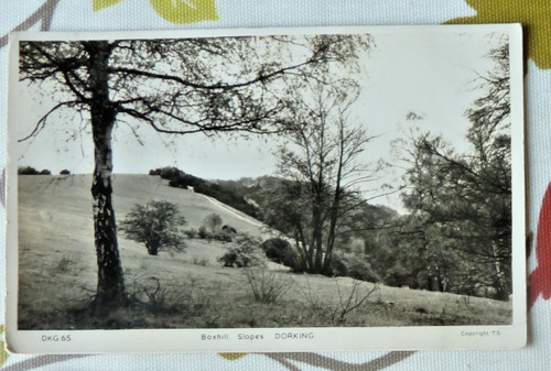 Postcard boxhill slopes - boxhill,