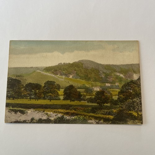 Reigate hill 1890 - reigate,